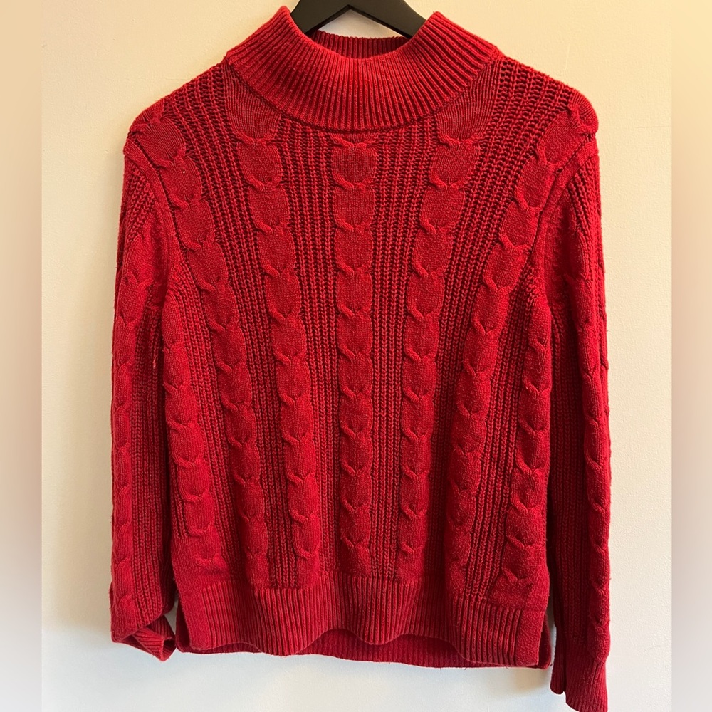 Banana Republic Scarlet Cable Knit Turtleneck Sweater